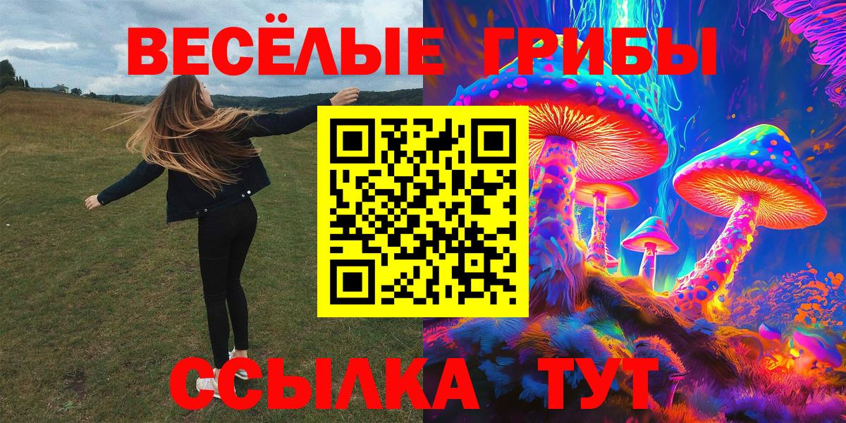 Галлюциногенные грибы GOLDEN TEACHER  Вход с VPN  Камень-на-Оби  Псилоцибиновые грибы MAGIC MUSHROOMS 