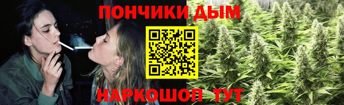 Конопля сатива Камень-на-Оби